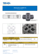 FTP Dalle Drainante X